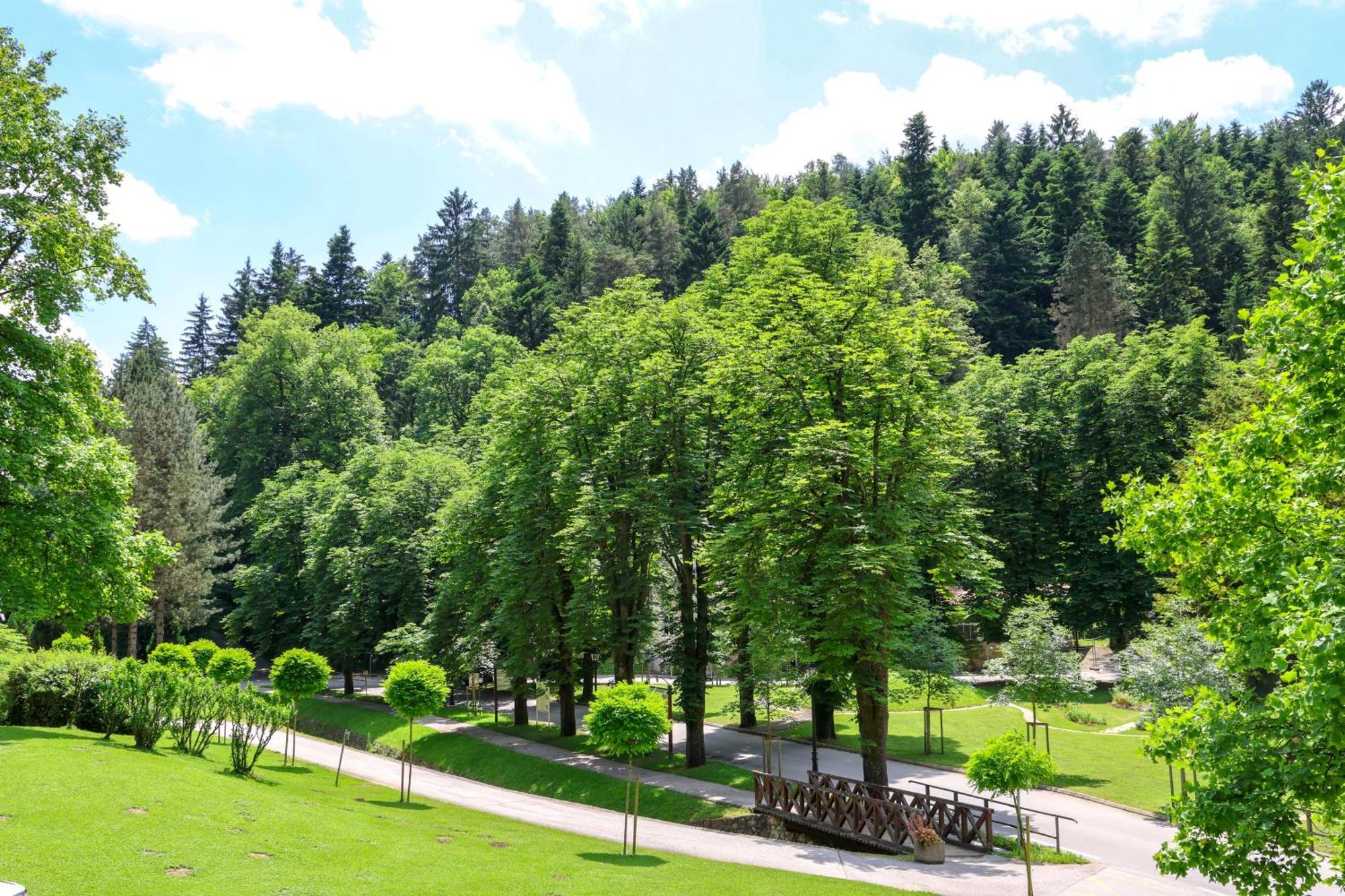 Depandance Vila Higiea - Terme Добрна Экстерьер фото